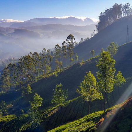 Grace Inn Munnar Homestay Экстерьер фото