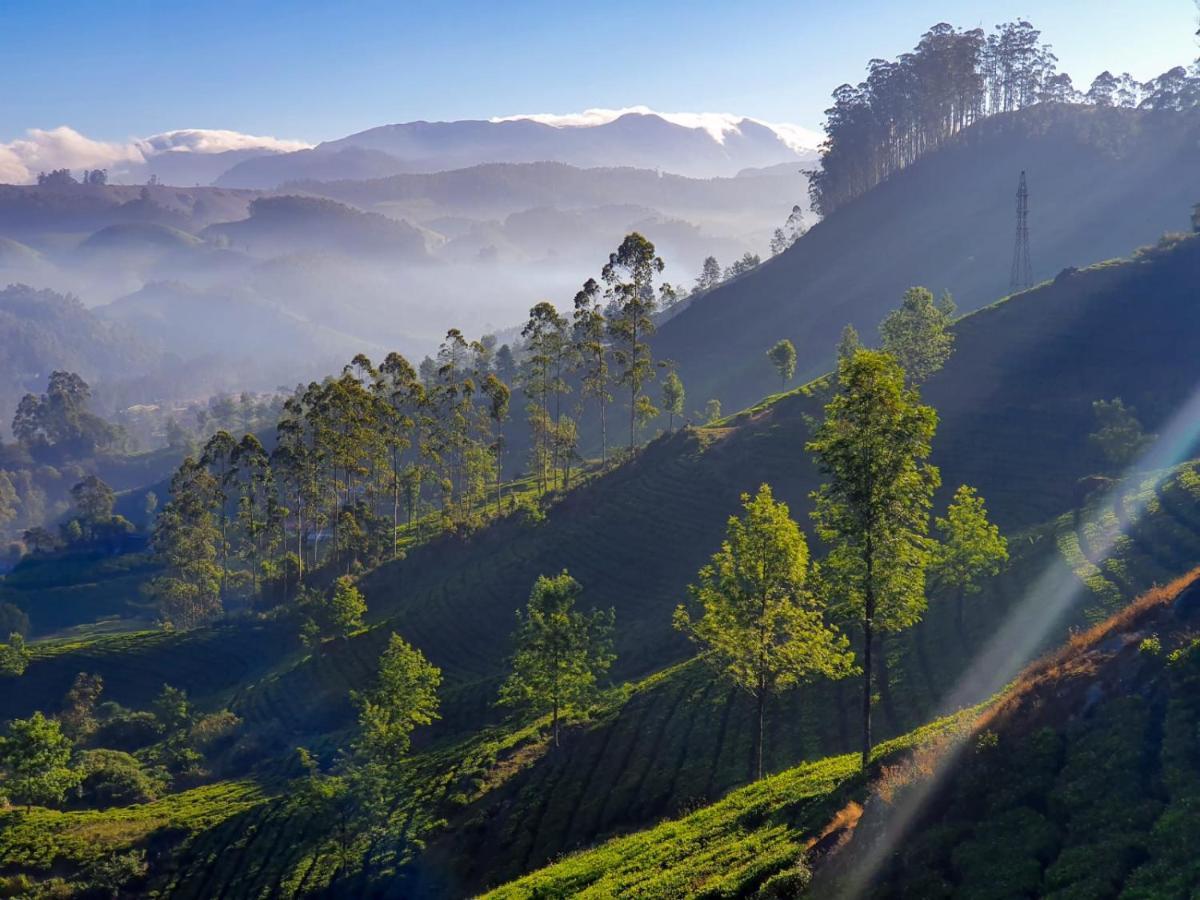Grace Inn Munnar Homestay Экстерьер фото